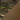 Realtree Max-7/ Buck