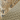 Realtree Advantage/ Khaki
