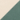 Cream/ Cream/ Dark Green