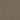 Safari