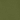 Olive Oil