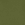 Olive Oil
