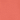 Sunset Coral