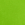 Neon Green