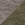 Military Green Frost/ Grey Frost