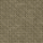Coyote Brown 