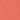 Sunset Coral