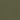 Forest Moss