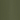 Forest Moss