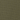 Burnt Olive Green