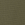 Burnt Olive Green