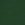 Team Dark Green
