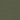 Medium Olive