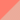 Coral/ Soft Coral