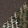 Realtree Edge/ Brown 