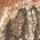 Realtree Edge 