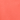 Neon Coral