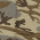 Desert Camo 