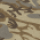 Desert Camo 