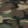 Military Camo 