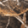 Realtree Max 5 