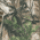 Realtree Xtra 