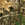 Realtree Edge