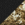Black/ Realtree Edge