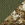 Olive Drab Green/ Realtree Edge