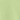Pistachio