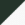 Forest Green/ White