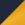 True Navy/ Gold