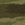 Olive Drab Green