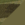 Olive Drab Green