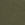 Burnt Olive Green