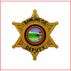 Deputy +$10.00