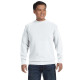 Adult Crewneck Sweatshirt