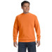 Adult Crewneck Sweatshirt