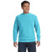 Adult Crewneck Sweatshirt