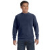 Adult Crewneck Sweatshirt