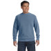 Adult Crewneck Sweatshirt