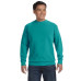 Adult Crewneck Sweatshirt