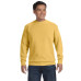 Adult Crewneck Sweatshirt