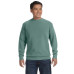 Adult Crewneck Sweatshirt