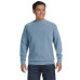 Adult Crewneck Sweatshirt