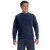 Adult Crewneck Sweatshirt