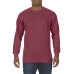 Adult Crewneck Sweatshirt