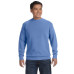 Adult Crewneck Sweatshirt