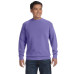 Adult Crewneck Sweatshirt