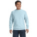 Adult Crewneck Sweatshirt